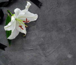 Lily funeral flower on dark stone. Condolence card with copy space.
